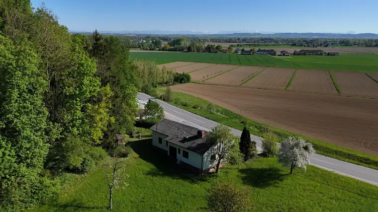 Großzügiges Grundstück mit sehr gepflegtem Haus und vielen Möglichkeiten