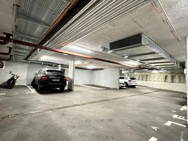 Behindertengerechter PKW-Stellplatz | Moderne Garage | Baujahr 2024