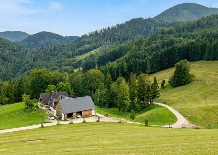 Eigenjagd 148 ha in Alleinlage mit Gutsgebäuden nahe Ybbsitz