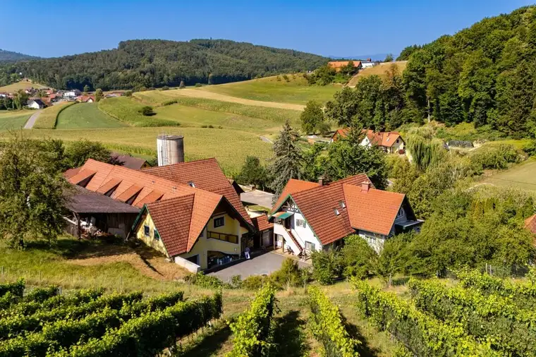 SÜDSTEIRISCHE RARITÄT MIT 33.753 m² GRUND 7 WOHNUNGEN &amp; UNENDLICH VIELE MÖGLICHKEITEN!