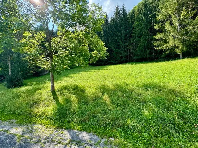 Attraktives Grundstück in Gröbming – Teilung in mehrere Grundstücke möglich