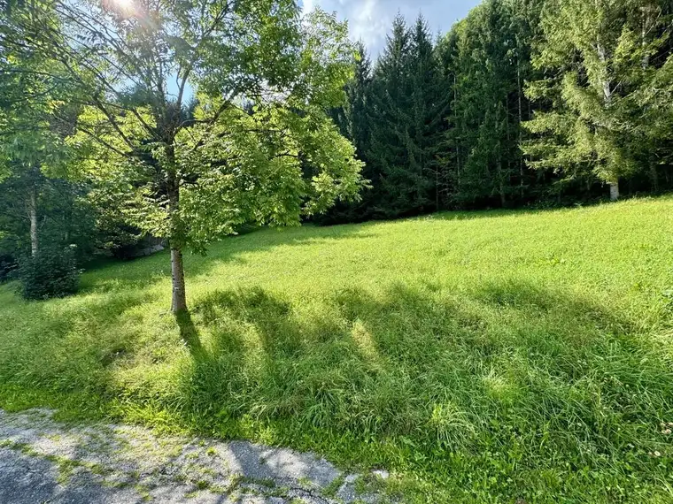 Attraktives Grundstück in Gröbming – Teilung in mehrere Grundstücke möglich