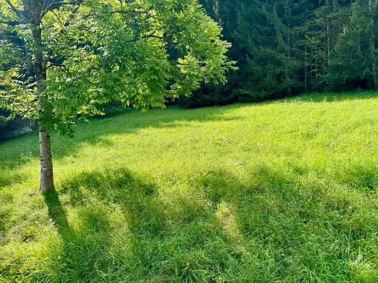 Attraktives Grundstück in Gröbming – Teilung in mehrere Grundstücke möglich