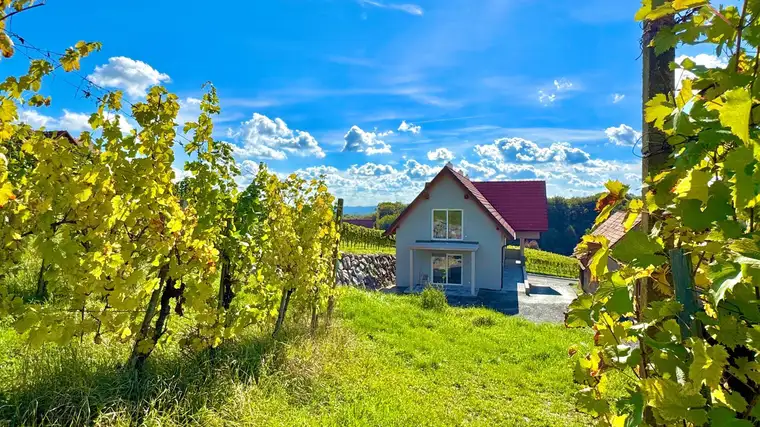 Barrierefreie 3-Zimmer Wohnung mit Terrasse inmitten der Weinberge von Klöch - Erstbezug!