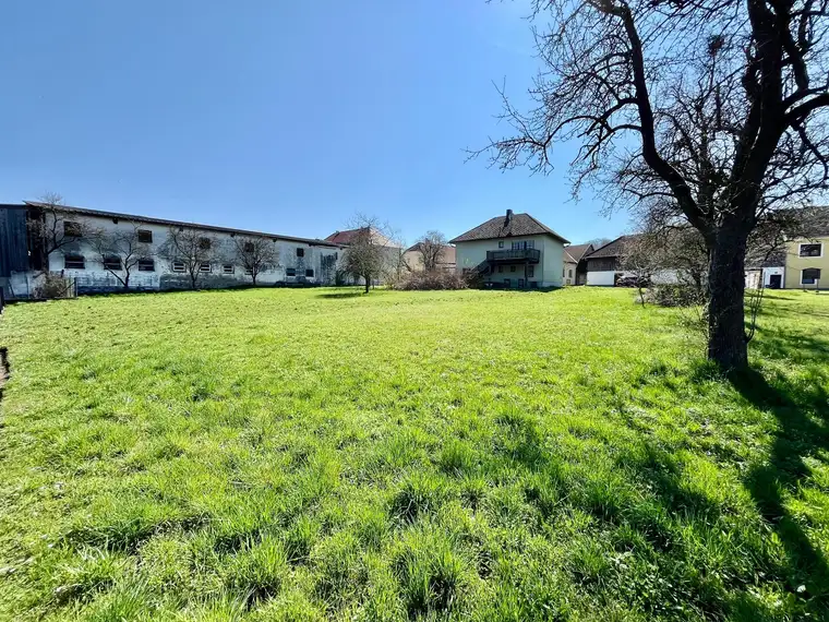 Einfamilienhaus mit großen Grund in Leiben, nähe Melk, Preis verhandelbar!