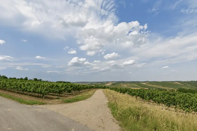 Landwirtschaftliche Grundstücke mit insgesamt 6.003 m² in Hadres !