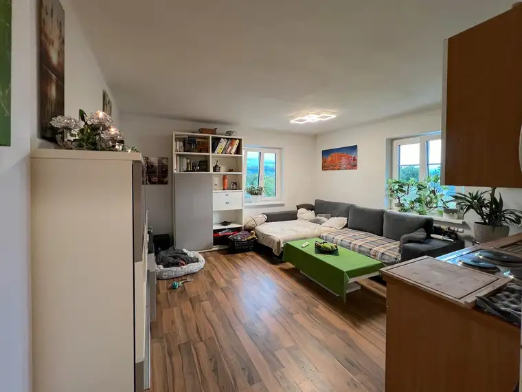 Ruhige Lage im Grünen: Singlewohnung mit Parkplatz ab September zu vermieten!