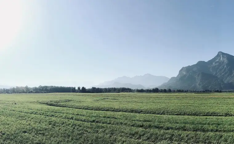 Idyllisches Baugrundstück in Leopoldskron-Moos // direkt vom Eigentümer