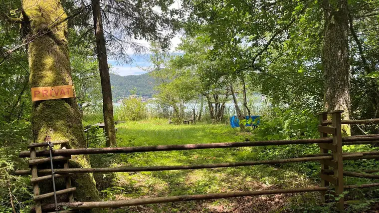 Natur pur am Keutschacher See