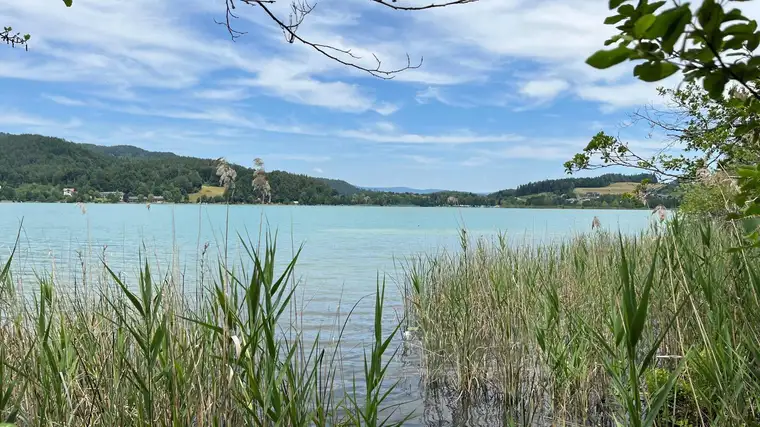 Natur pur am Keutschacher See