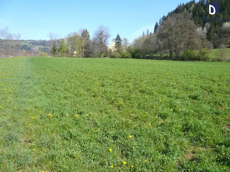 Ackerfläche nähe Feldkirchen/Stadt