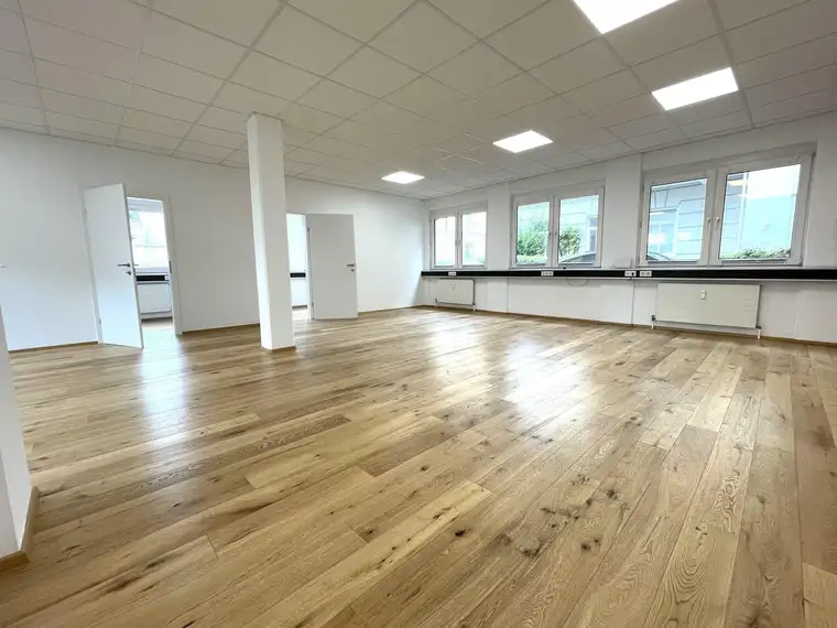Andräviertel, helles freundliches Büro 