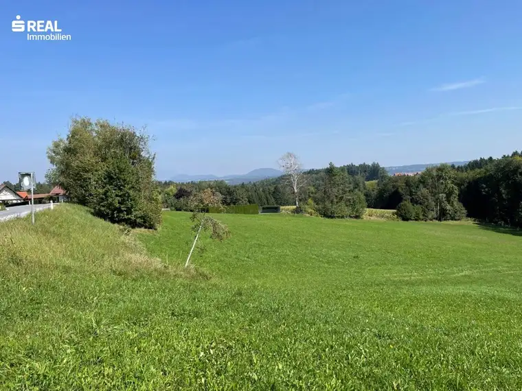 Großes Grundstück auch für Bauträger in sonniger Lage mit interessanten Möglichkeiten in der Weststeiermark