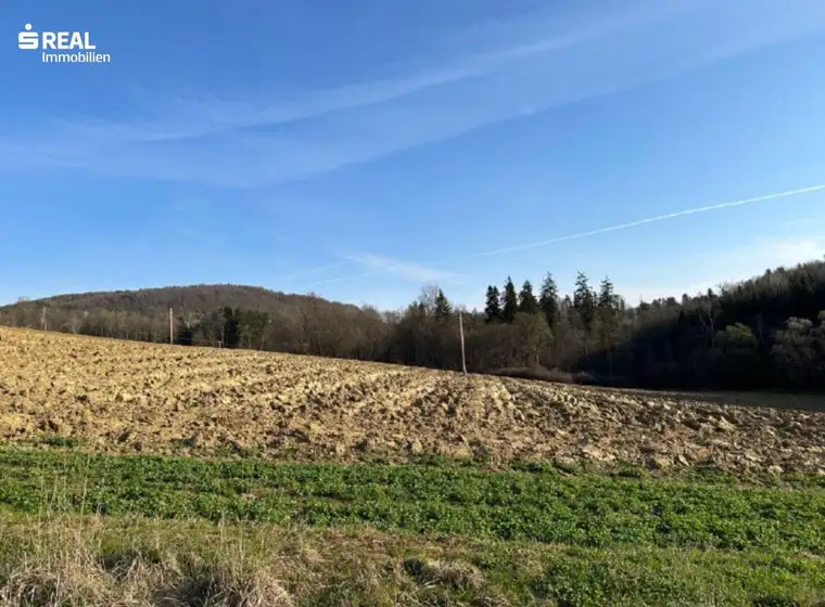 Sonniges land- und forstwirtschaftliches Grundstück mit Blick auf die Basilika Mariatrost