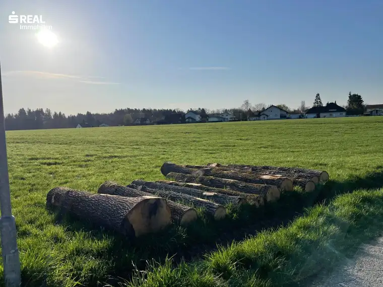 Wunderschöne Baufläche in sonniger Ruhelage - verwirklichen Sie Ihre Vision in Lieboch