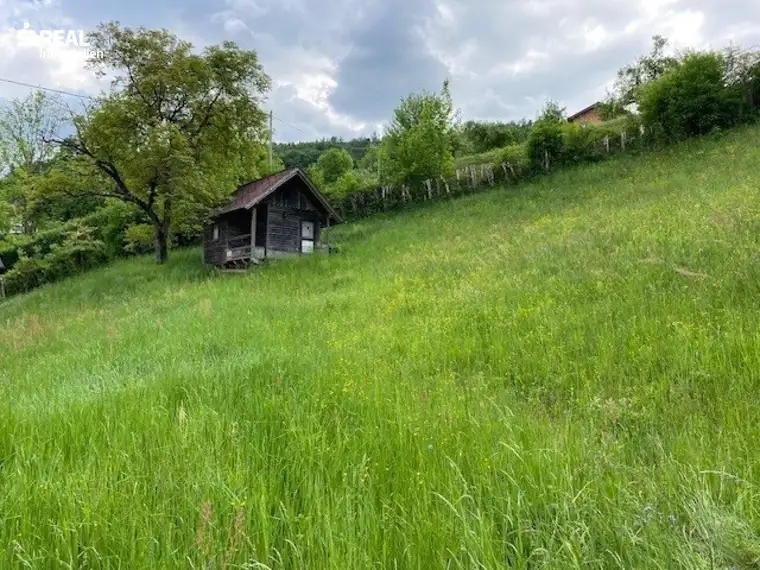 Schönes Baugrundstück Nähe Weiz