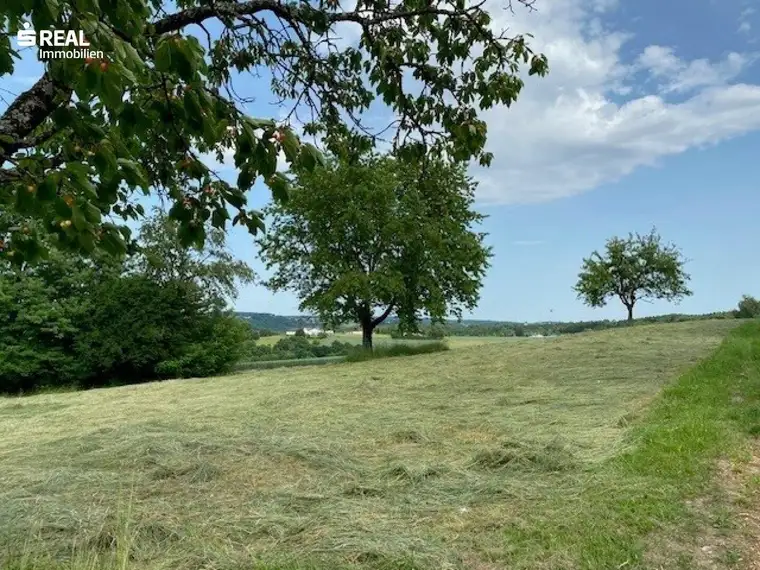 Schönes großes Grundstück in Aussichtslage