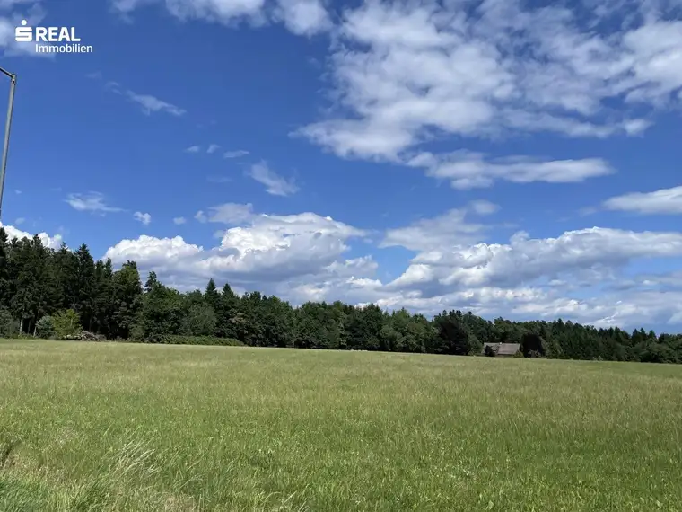 Wunderschöne Baufläche in sonniger Ruhelage - verwirklichen Sie Ihre Vision in Lieboch