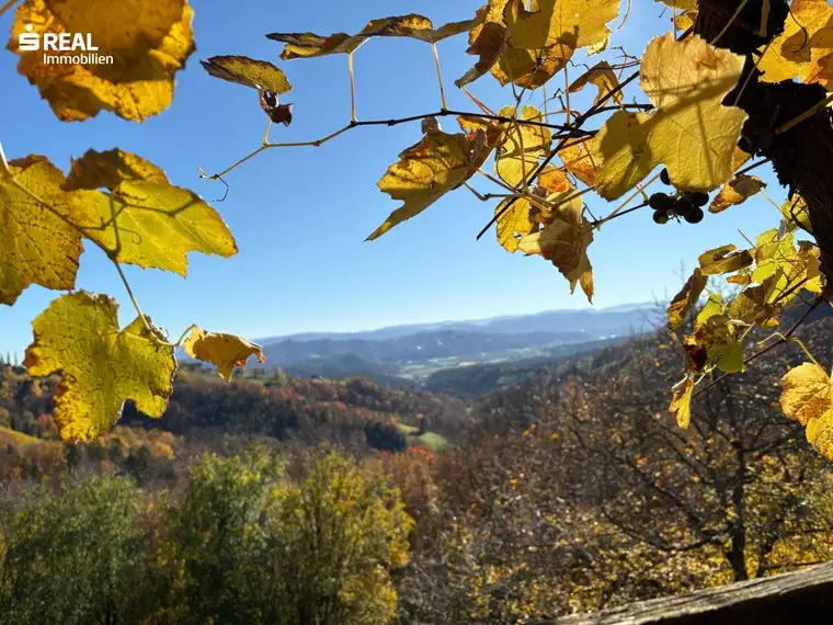 Traumwohnung Nähe Kitzeck - Miete