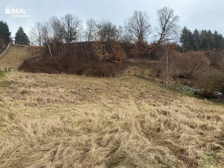 Schönes Grundstück in Hofkirchen bei Hartberg