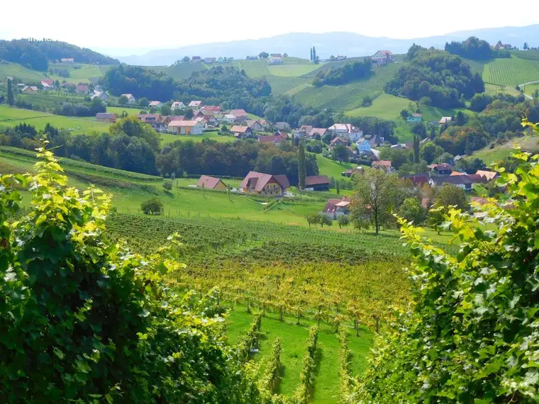 Traumwohnung so richtig zum Wohlfühlen mit Balkon und Loggia - Rundumblick in die südsteirischen Weinberge