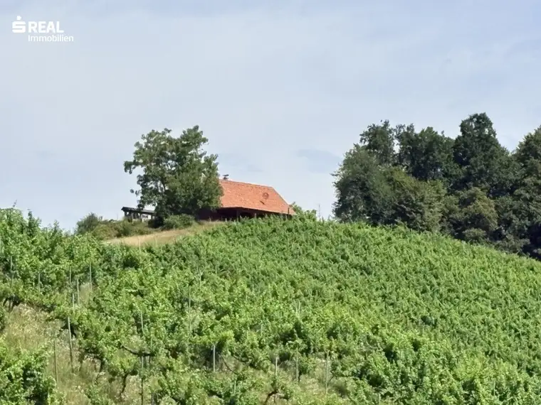 Das ist DIE Gelegenheit für Weinbauern und solche die es werden möchten, Liegenschaft in Traumlage - Südsteiermark