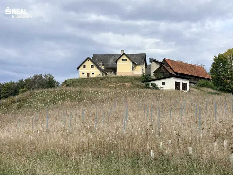 Landwirtschaft mit Weingarten in Traumaussichtslage am Eichberg