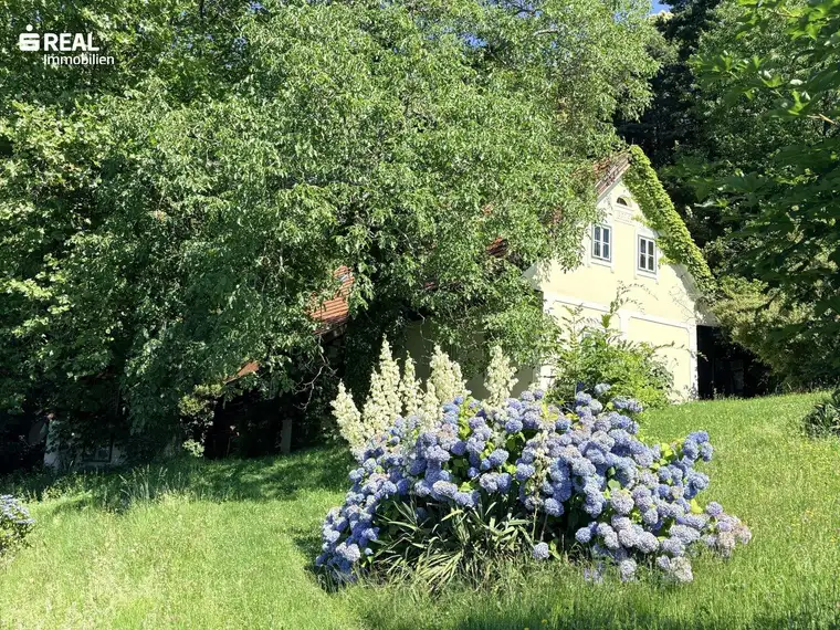 Diese Aussicht! Charmantes Anwesen mit viel Platz, Wald, Weingarten und Wiese und besonderem Flair
