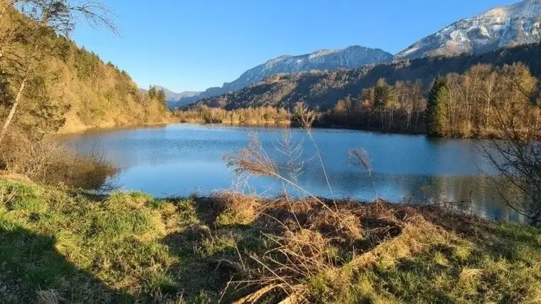 Sonniges, ebenes Grundstück mit Altbestand in ruhiger Lage nahe dem Linsendorfer See!