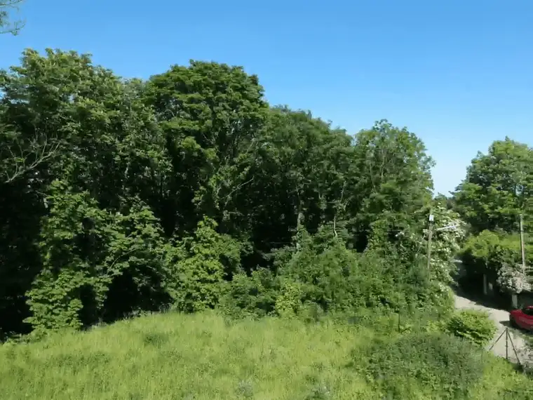 Exklusives großes Grundstück am Heuberg in Ruhelage mit Baugenehmigung