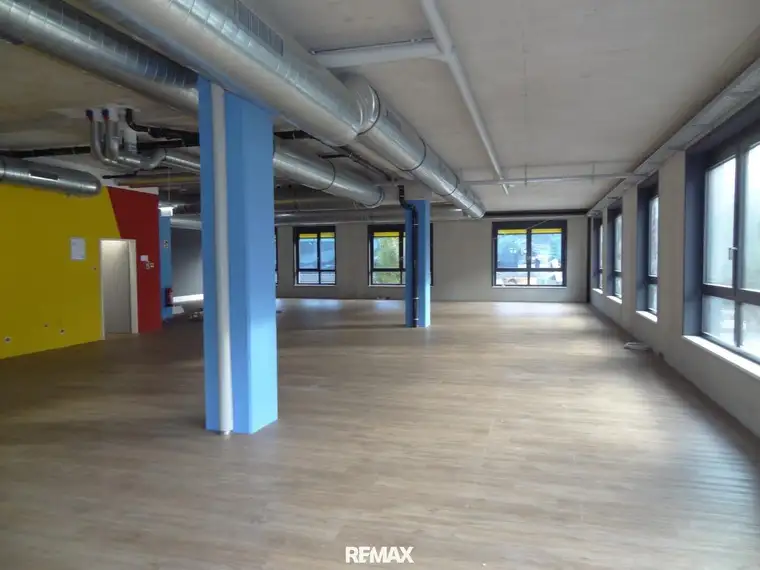 Mag. Klaus Bodner, REMAX Recon 1 Conterra Immobilien GmbH