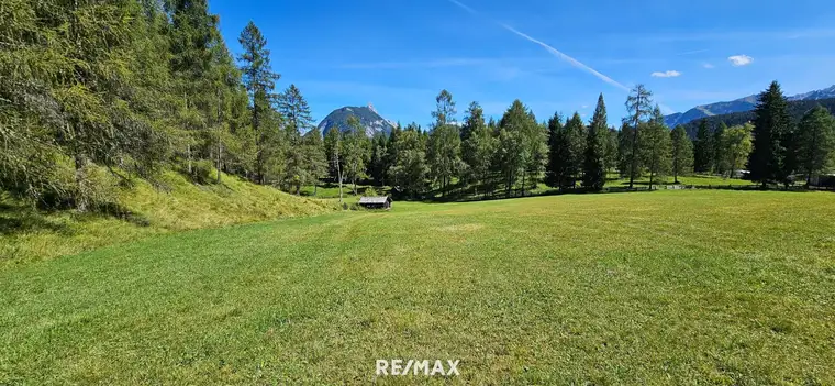 Naturnah investieren: Landwirtschafts- und Waldfläche!