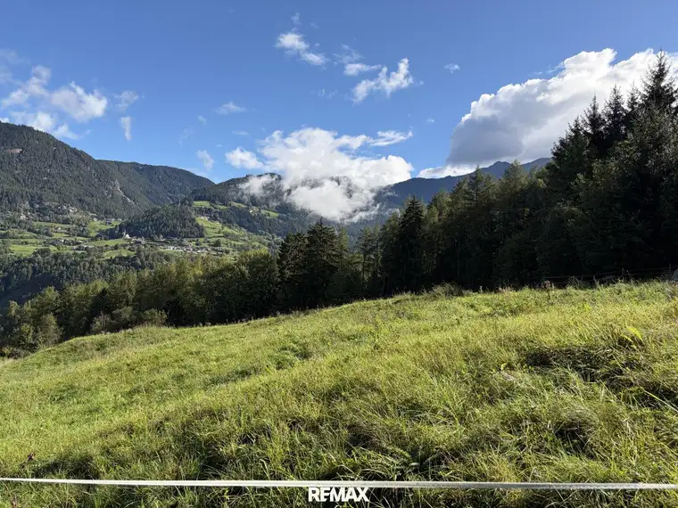 Zwei Freilandflächen mit vielseitiger landwirtschaftlicher Nutzung in Sautens!