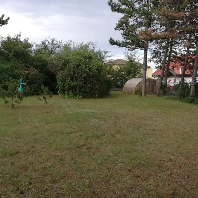 Grundstück am nördlichen Stadtrand von Wiener Neustadt