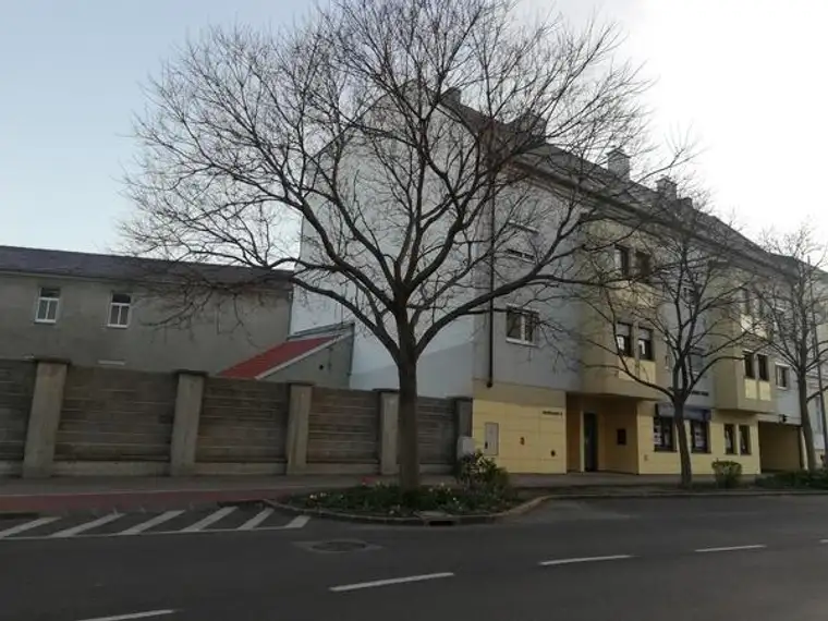 Moderne 1-Zimmerwohnung