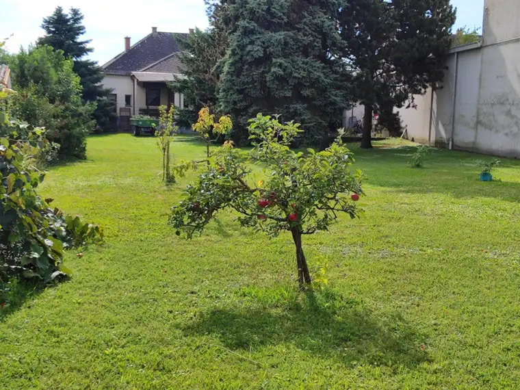Einfamilienhaus auf großem Grundstück in Siegendorf! Teilweise Sanierungsbedarf!