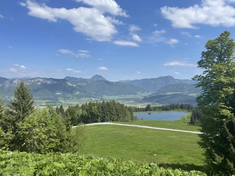Karin Gornik, Gornik Immobilien GmbH