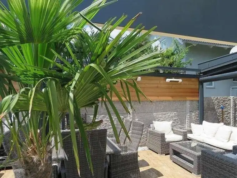 Traumhaft LUXURIÖS AUSGESSTATTETES SMART EFH in Leopoldsdorf: Wfl. 196m², 6 Zimmer, Balkon &amp; Terrasse! + PHOTOVOLTAIK ANLAGE mit STROMSPEICHER + beheizter POOL + GARAGE + GRILLPLATZ +