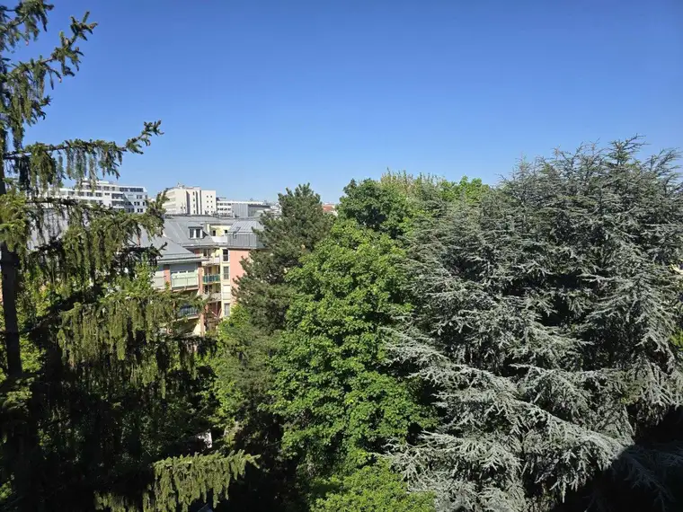 ++ Jugendstil-Juwel im Wiener Altbau + Nur noch 3-Neubau Wohnungen und 3 Altbauwohnungen + U4 Unter Sankt Veit +