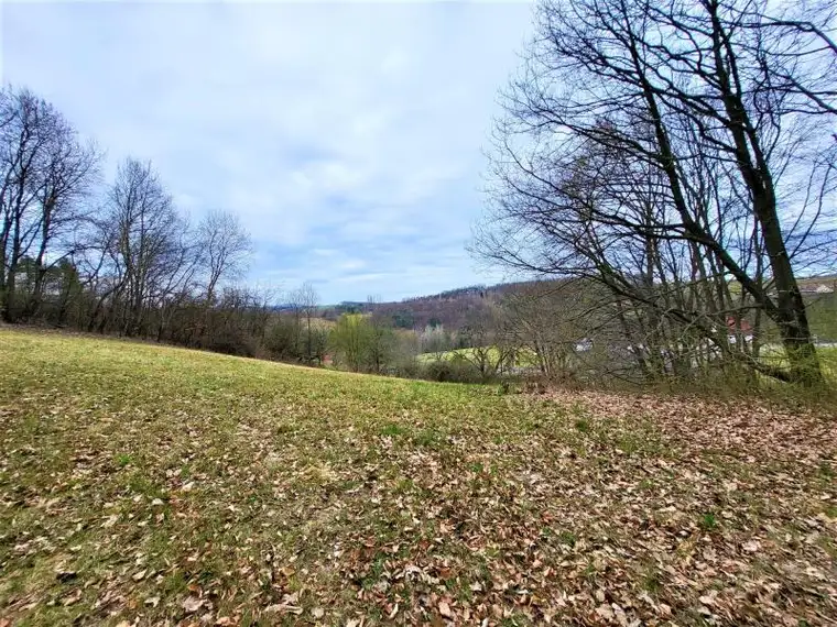 Baugrund (5.444m²) in Traumlage in Grieselstein - Nähe Therme Loipersdorf!