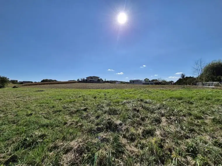 2 wunderschöne Baugründe in erhöhter Sonnenlage in Fehring - Nähe Feldbach!
