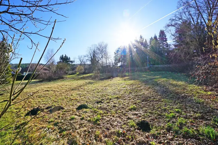 Baugrundstück mit Ausblick in zentraler Ruhelage in Pressbaum