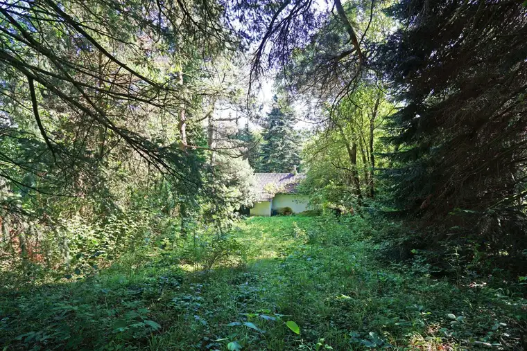 Großzügiges Baugrundstück mit Grünland und Altbestand im Irenental