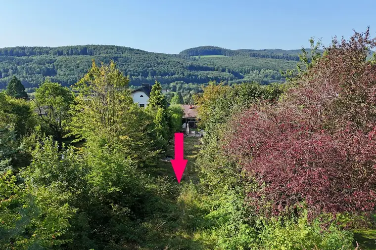 Herrliche Ruhelage am Waldrand am Karriegel