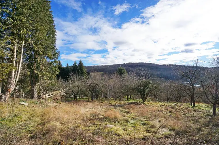 Grundstück mit Panoramablick an der Wiener Stadtgrenze - teilbar mit Bauträger-Eignung!