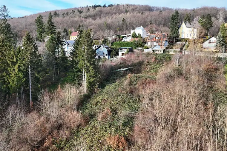 Baugrund in Südlage am Sagberg