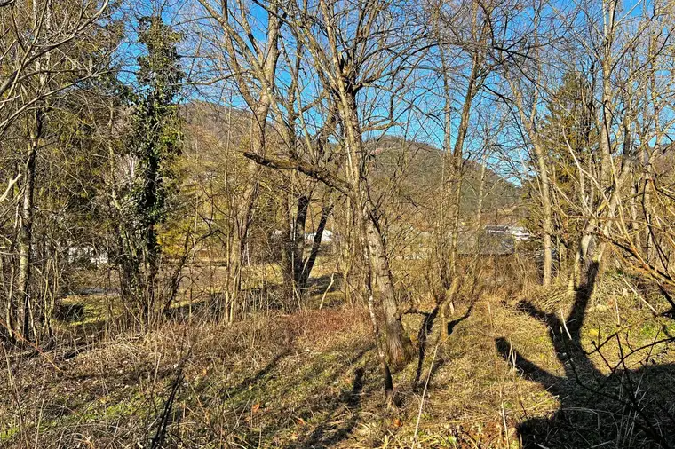 Baugrund in Lehenrotte/Türnitz an der Via Sacra - Nähe Lilienfeld