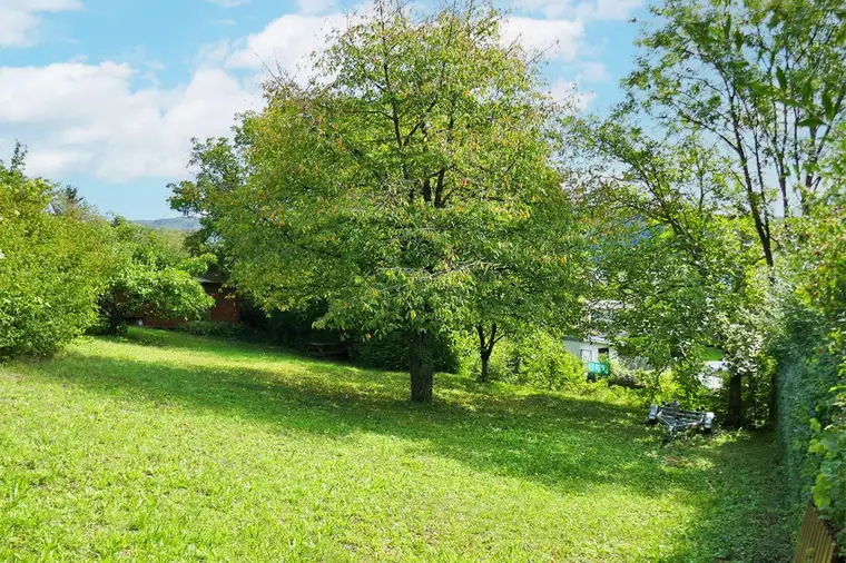 Baugrund auf leichtem Südhang in idyllischer Lage in Tulln-Nähe
