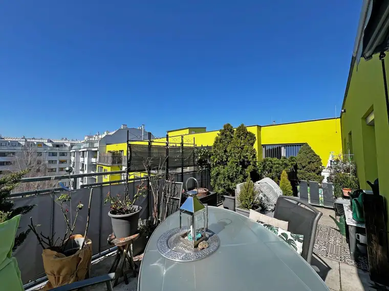 Entzückende Wohnung mit großer Westterrasse Nähe Hanusch Krankenhaus