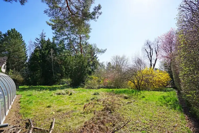 Villengrundstück in Waldrandruhelage zwischen Wolfersberg und Kolbeterberg